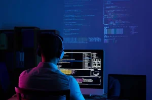 web development
