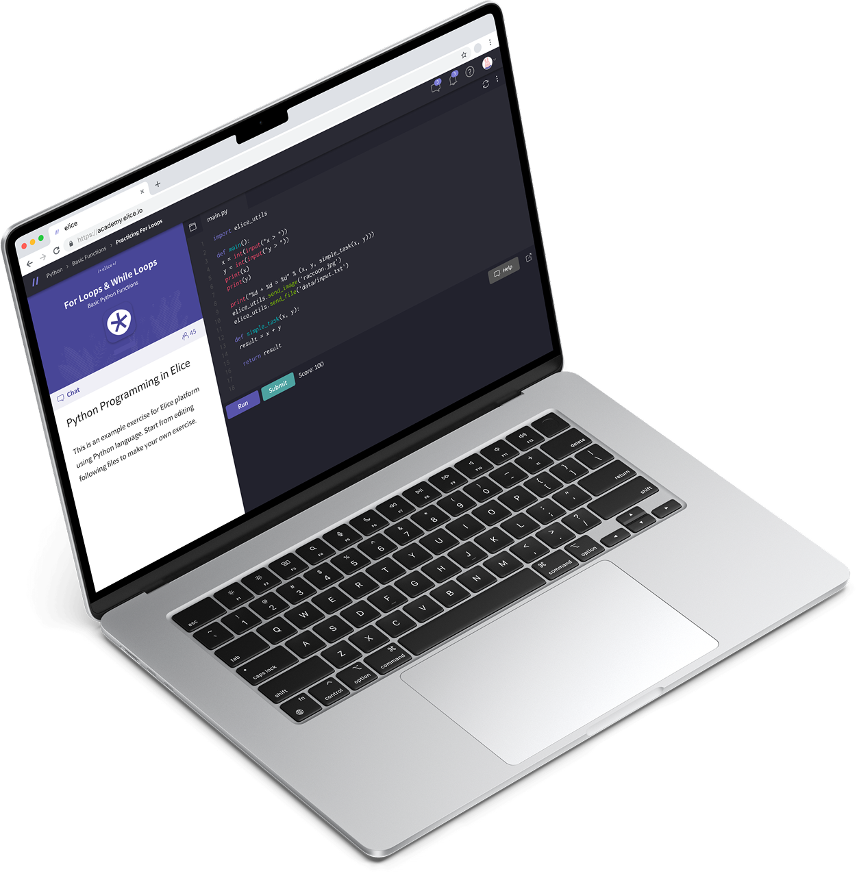 Python development services